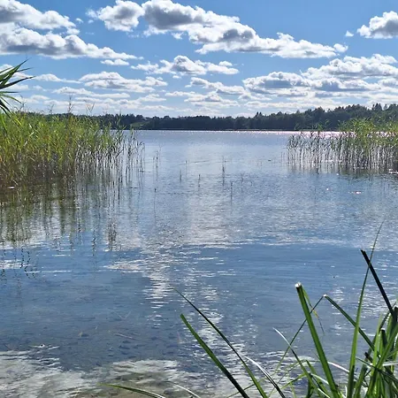 Mazurski Nad Jeziorem W Miejscowosci Elganowo * Pasym