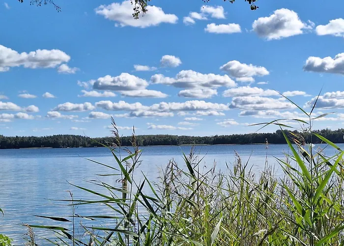 Mazurski Nad Jeziorem W Miejscowosci Elganowo